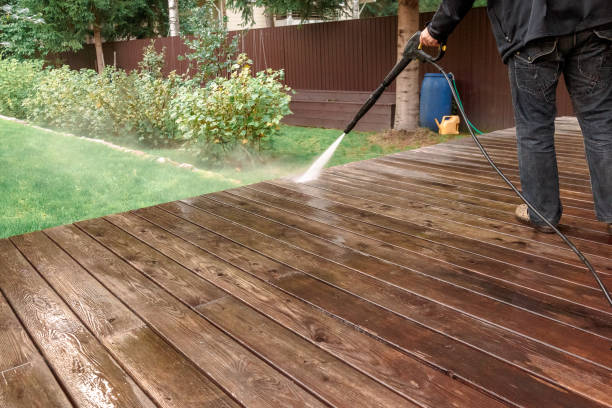 Best Soft Washing  in Port Isabel, TX