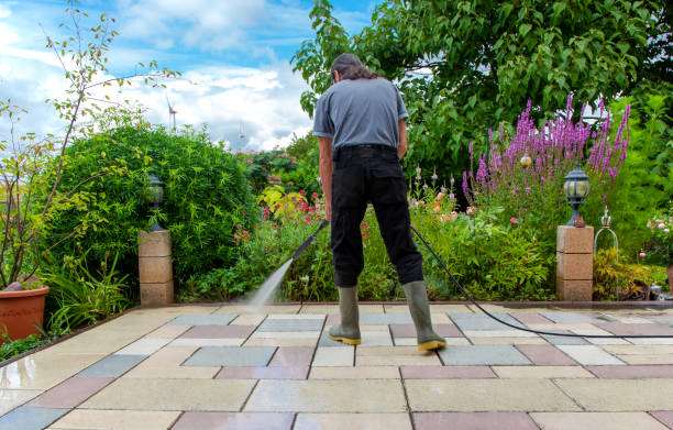  Port Isabel, TX Pressure Washing Pros